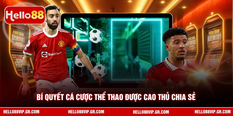 Bí quyết cá cược thể thao được cao thủ chia sẻ